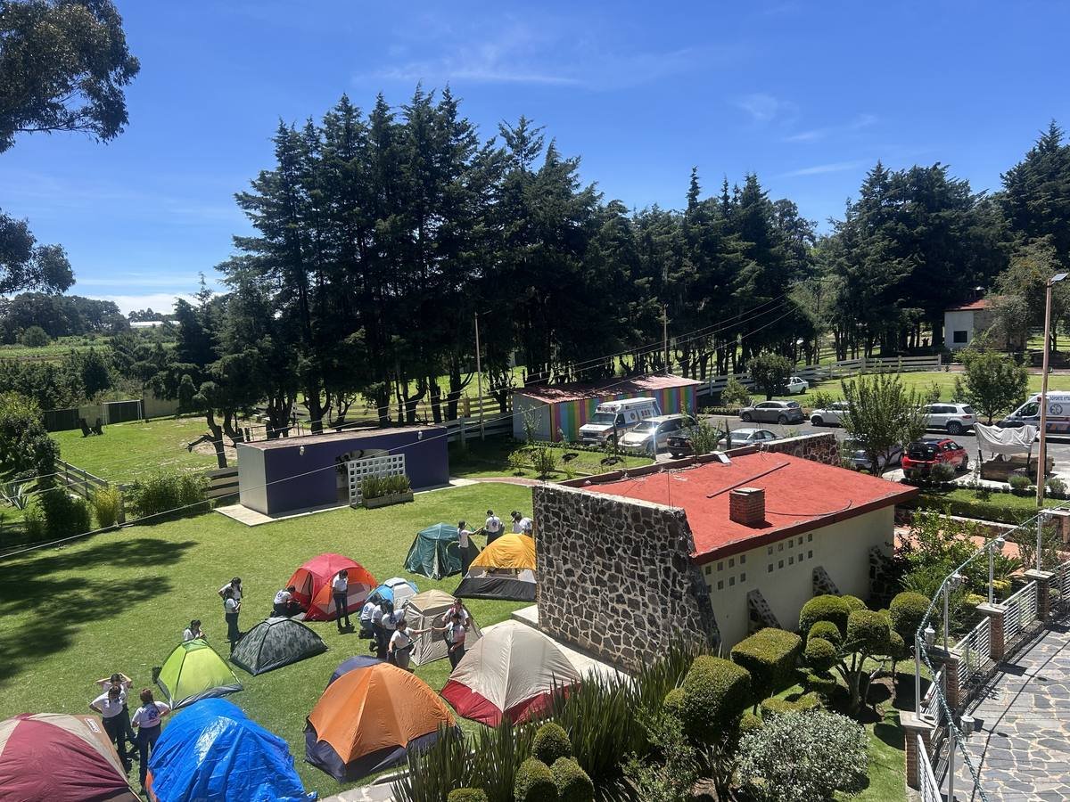Vista del jardín y las cabañas del complejo entre los pinos