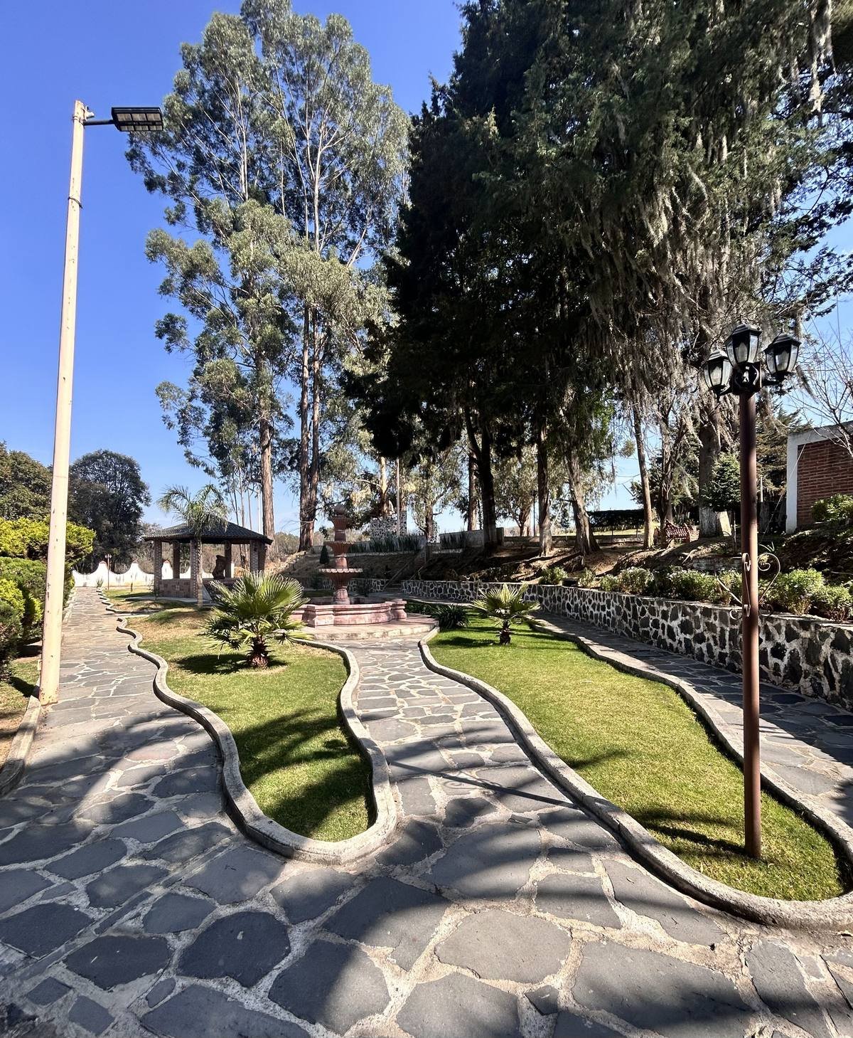 Circuito de mini-golf entre pinos y eucaliptos