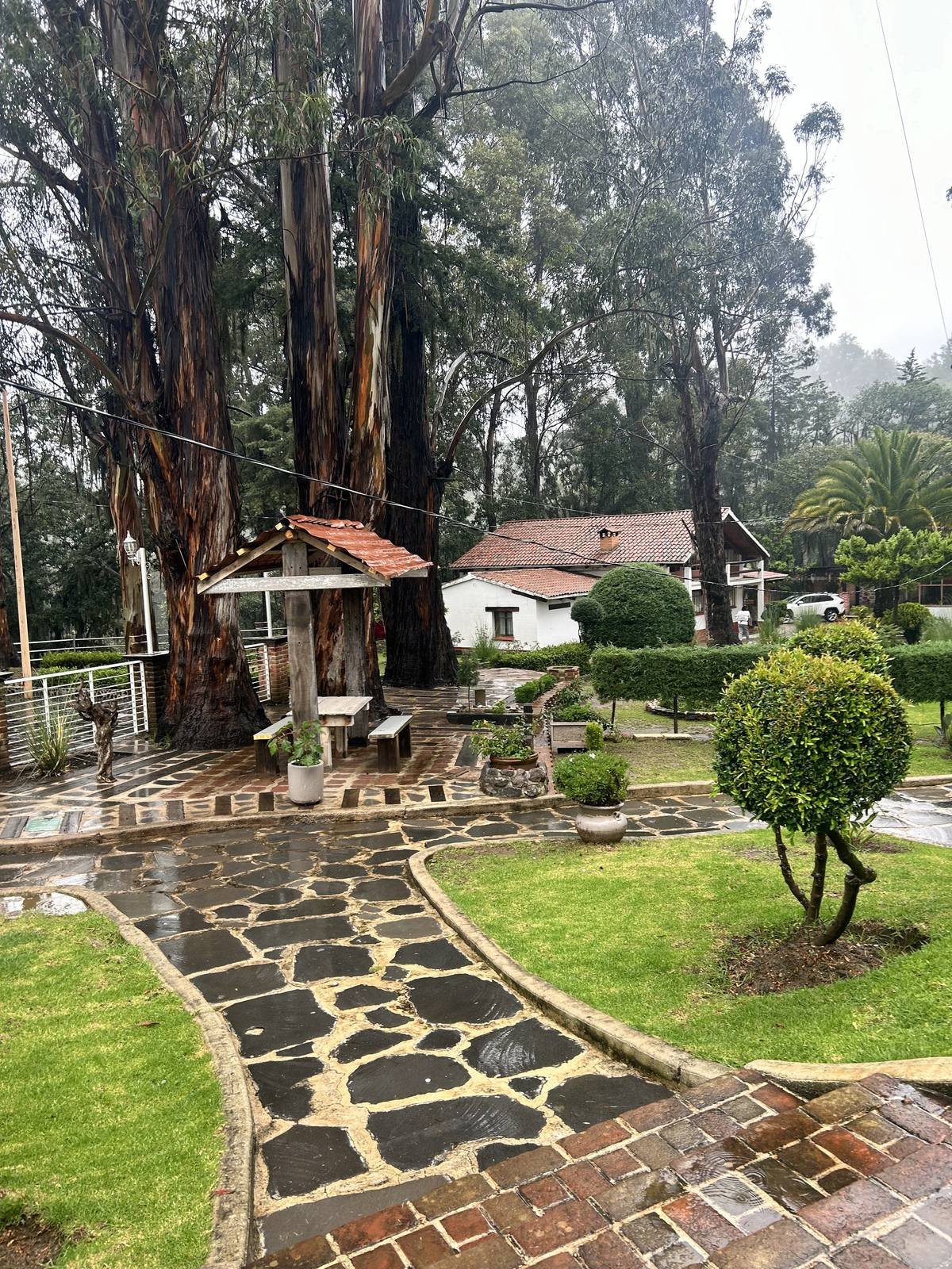 Cabaña de madera junto al bosque, con andador de piedra