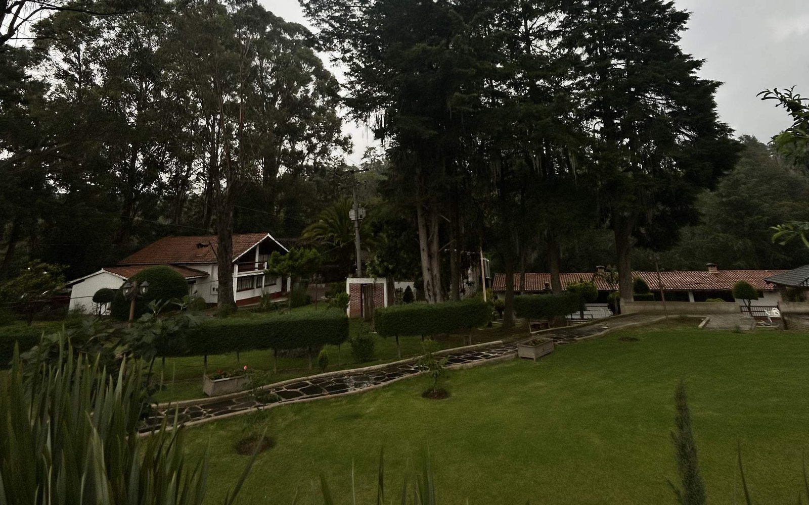 Jardines del complejo con las cabañas al fondo, entre eucaliptos